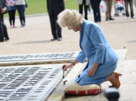Camilla Duchess of Cornwall meets representatives of the Trust in Memoriam 2014 campaign at the Royal Artillery Memorial on Hyde Park Corner, London, Britain - 14 Jun 2012