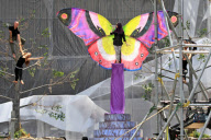 Katy Perry spreads her wings in Toronto [NO Canada, Germany, Austria]