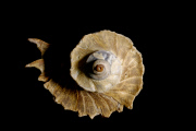 Deep-sea habitats in New Zealand