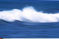 NATURE / MER                               (SIPA IMAGE)  (VOIR SUITE)