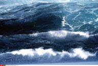 NATURE / MER                               (SIPA IMAGE)  (VOIR SUITE)
