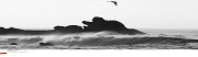 BRETAGNE: tempete