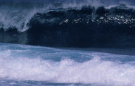 Foam wave