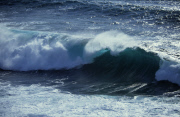 Foam wave