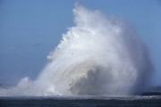 Climate wind