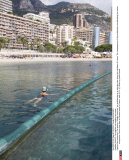 FRANCE: The jellyfish are invading the coasts
