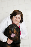 Rottweiler swallows a spoon, Leeds, Britain - Jun 2012