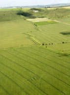 Kornkreise in Wiltshire