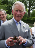  Charles and a Frog 050712