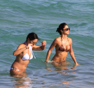 Playboy model Arianny Celeste pours fierce curves into snakeskin bikini 