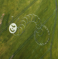'The Very Hungry Caterpillar' style crop circle, Boreham Woods, Wiltshire, Britain - 05 Jul 2012