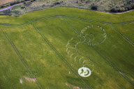 'The Very Hungry Caterpillar' style crop circle, Boreham Woods, Wiltshire, Britain - 05 Jul 2012