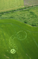 'The Very Hungry Caterpillar' style crop circle, Boreham Woods, Wiltshire, Britain - 05 Jul 2012