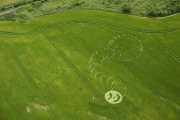 'The Very Hungry Caterpillar' style crop circle, Boreham Woods, Wiltshire, Britain - 05 Jul 2012
