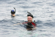Sir Richard Branson swimming with whale sharks, Cancun, Mexico - 09 Jul 2012