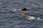 Sir Richard Branson swimming with whale sharks, Cancun, Mexico - 09 Jul 2012
