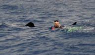 Sir Richard Branson swimming with whale sharks, Cancun, Mexico - 09 Jul 2012
