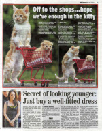 8-week-old kitten pushes 2-week-old kitten around in a toy shopping trolley, Exeter, Devon, Britain - 12 Jul 2012