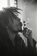 2012 - Marley - Movie Set