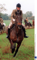 STARS HUNTING WITH BEAUFORT HUNT, GLOUCESTERSHIRE, BRITAIN - 1995