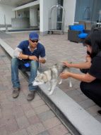 Kellan Lutz Takes A Break From Comic-Con With His Dog