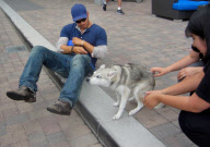 Kellan Lutz Takes A Break From Comic-Con With His Dog