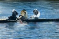 Guinea Pig Games 2013 Calendar