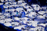 London Olympic Games - Day 0