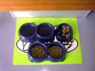 'Revenge of the Rings' Olympic Rings brand crackdown protest blog, Britain - Jul 2012