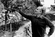 Gore Vidal