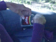 Semi-Exclusive... Brigitte Nielsen Getting Drunk In A Park