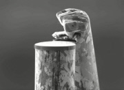 'Art of Failure' electron microscope competition - 06 Aug 2012