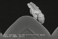 'Art of Failure' electron microscope competition - 06 Aug 2012