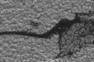 'Art of Failure' electron microscope competition - 06 Aug 2012