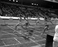 Mono Negative