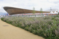 Day 11 - Olympic Games, London - 07 August 2012.