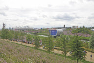 Day 11 - Olympic Games, London - 07 August 2012.