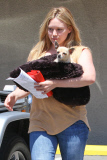 *EXCLUSIVE* Hilary Duff takes her best friend to the see the vet