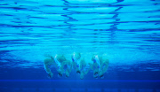 The 2012 London Olympic Games, Synchronised Swimming, London, Britain - 10 Aug 2012