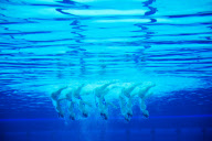 The 2012 London Olympic Games, Synchronised Swimming, London, Britain - 10 Aug 2012