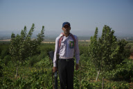 The Kurdish revolution in Syria