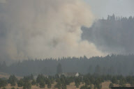 Forest fire in Washington state