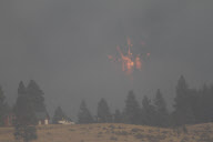 Forest fire in Washington state