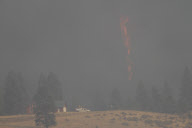 Forest fire in Washington state