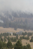 Forest fire in Washington state