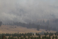 Forest fire in Washington state