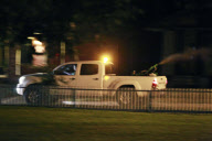 41 Tote durch West-Nil-Virus in USA 