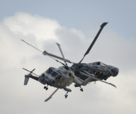 Carfest event in Overton, Hampshire, Britain - 26 Aug 2012