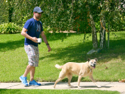 Jon Hamm Walks His Dog On Labor Day