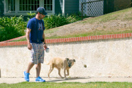 Jon Hamm Walks His Dog On Labor Day